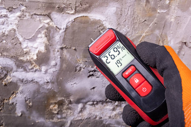 Mold Removal and Inspection in Alturas, FL