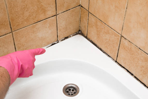 Best Mold Inspection  in Alturas, FL